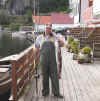 Bild 0201.JPG (41626 byte)