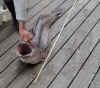 Bild 07.JPG (34342 byte)