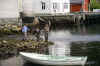 Norge 2004 Alex 019.jpg (717312 byte)