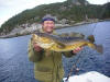 Hechtangeln und Fjordfischen auf Tysnes