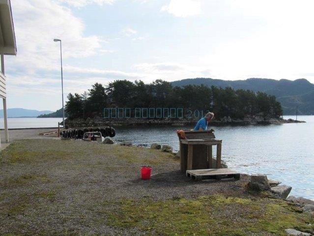 Angeln und Ferienhaus in Norwegen auf Tysnes