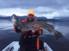 Angeln Boote auf Tysnes Norwegen