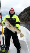 Angeln in Norwegen Februar Tysnes